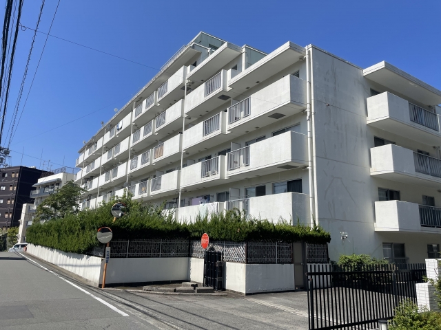 チュリス道後　1LDK